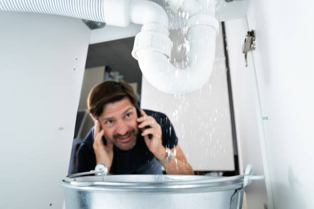 Best Local Plumber Services  in Edgewater, FL